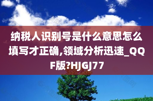 纳税人识别号是什么意思怎么填写才正确,领域分析迅速_QQF版?HJGJ77