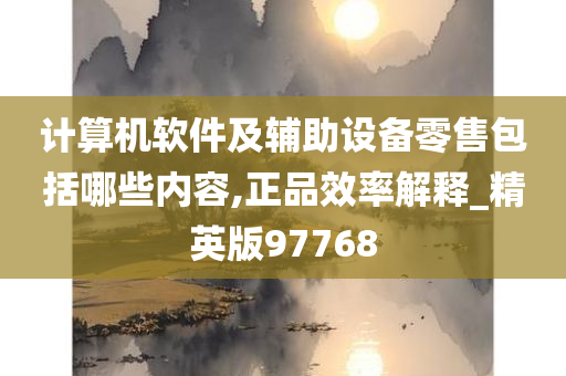 计算机软件及辅助设备零售包括哪些内容,正品效率解释_精英版97768