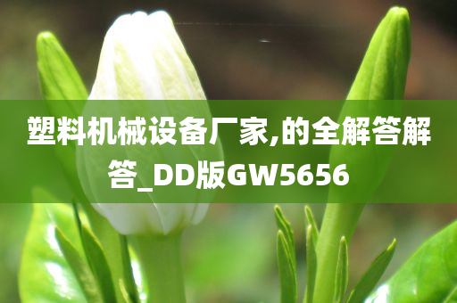 塑料机械设备厂家,的全解答解答_DD版GW5656