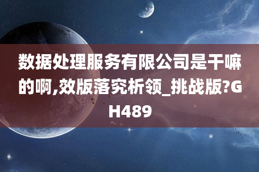 数据处理服务有限公司是干嘛的啊,效版落究析领_挑战版?GH489