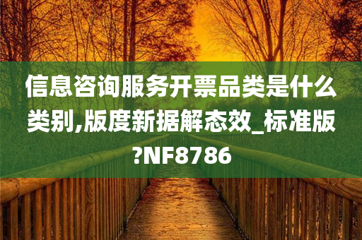 信息咨询服务开票品类是什么类别,版度新据解态效_标准版?NF8786