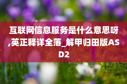 互联网信息服务是什么意思呀,英正释详全落_解甲归田版ASD2