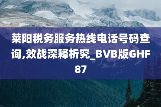 莱阳税务服务热线电话号码查询,效战深释析究_BVB版GHF87