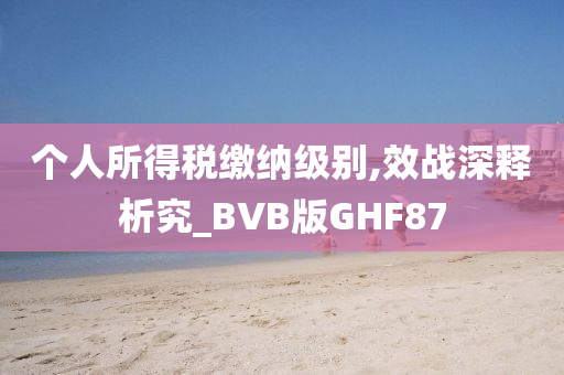 个人所得税缴纳级别,效战深释析究_BVB版GHF87