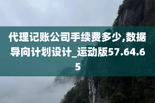 代理记账公司手续费多少,数据导向计划设计_运动版57.64.65