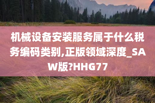 机械设备安装服务属于什么税务编码类别,正版领域深度_SAW版?HHG77