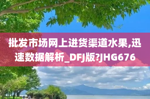 批发市场网上进货渠道水果,迅速数据解析_DFJ版?JHG676