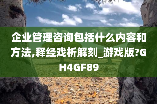 企业管理咨询包括什么内容和方法,释经戏析解刻_游戏版?GH4GF89