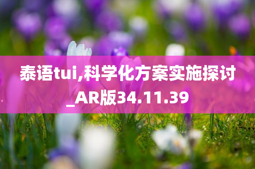 泰语tui,科学化方案实施探讨_AR版34.11.39