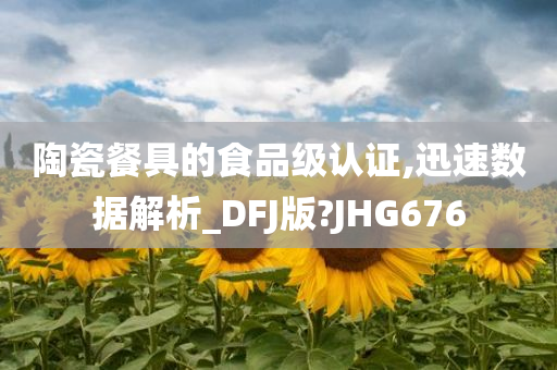 陶瓷餐具的食品级认证,迅速数据解析_DFJ版?JHG676