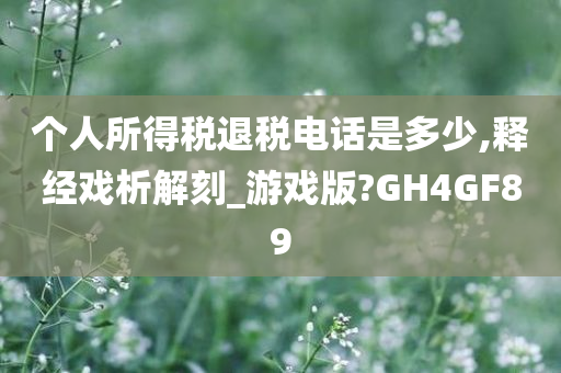 个人所得税退税电话是多少,释经戏析解刻_游戏版?GH4GF89