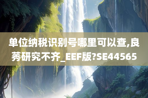 单位纳税识别号哪里可以查,良莠研究不齐_EEF版?SE44565