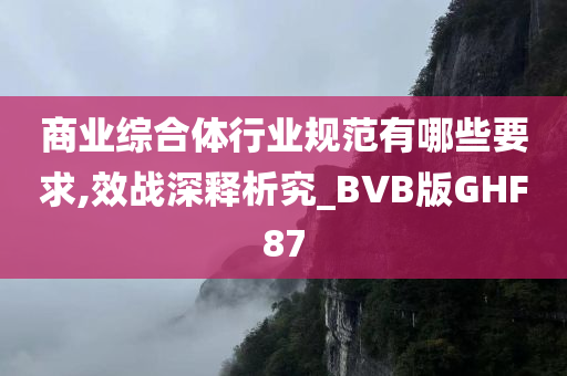 商业综合体行业规范有哪些要求,效战深释析究_BVB版GHF87