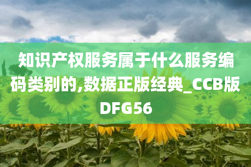 知识产权服务属于什么服务编码类别的,数据正版经典_CCB版DFG56