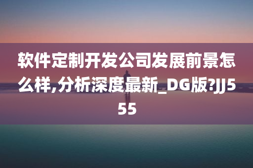 软件定制开发公司发展前景怎么样,分析深度最新_DG版?JJ555