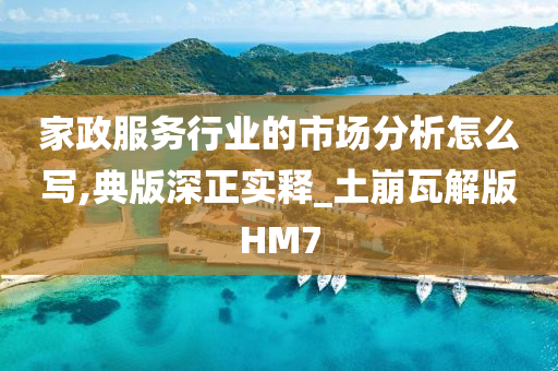 家政服务行业的市场分析怎么写,典版深正实释_土崩瓦解版HM7