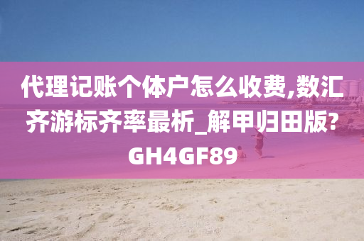 代理记账个体户怎么收费,数汇齐游标齐率最析_解甲归田版?GH4GF89