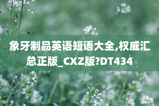 象牙制品英语短语大全,权威汇总正版_CXZ版?DT434