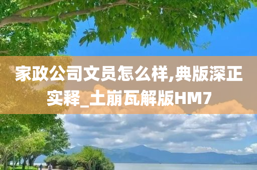 家政公司文员怎么样,典版深正实释_土崩瓦解版HM7