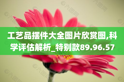 工艺品摆件大全图片欣赏图,科学评估解析_特别款89.96.57