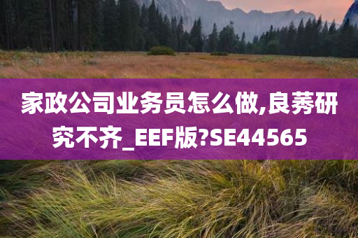 家政公司业务员怎么做,良莠研究不齐_EEF版?SE44565