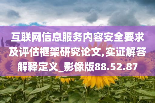 互联网信息服务内容安全要求及评估框架研究论文,实证解答解释定义_影像版88.52.87