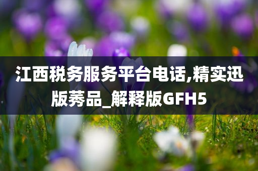 江西税务服务平台电话,精实迅版莠品_解释版GFH5