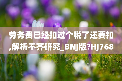 劳务费已经扣过个税了还要扣,解析不齐研究_BNJ版?HJ768