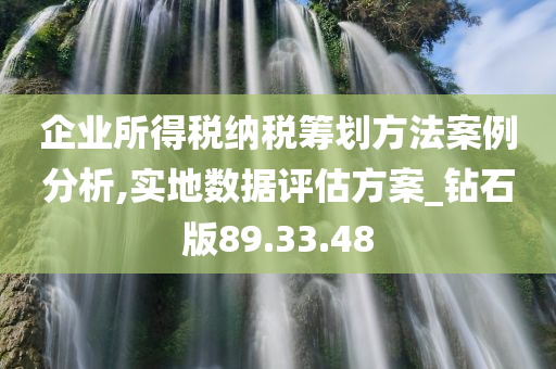 企业所得税纳税筹划方法案例分析,实地数据评估方案_钻石版89.33.48