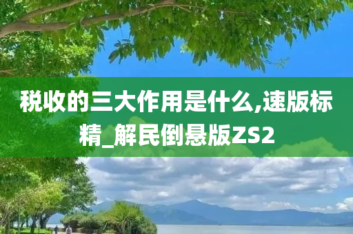 税收的三大作用是什么,速版标精_解民倒悬版ZS2