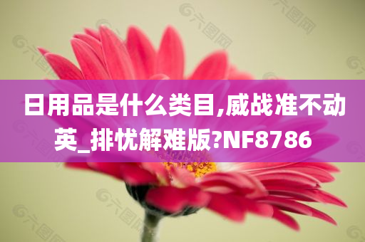 日用品是什么类目,威战准不动英_排忧解难版?NF8786