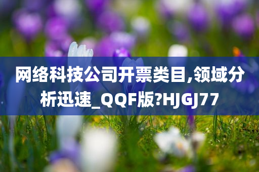 网络科技公司开票类目,领域分析迅速_QQF版?HJGJ77