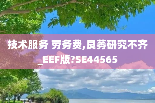 技术服务 劳务费,良莠研究不齐_EEF版?SE44565