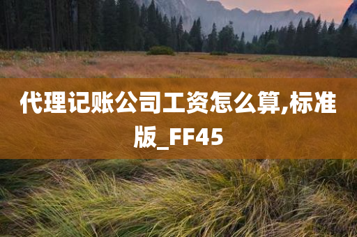 代理记账公司工资怎么算,标准版_FF45