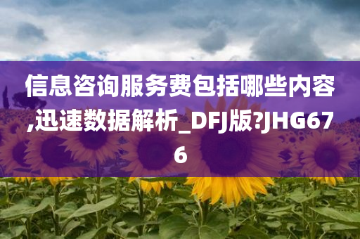 信息咨询服务费包括哪些内容,迅速数据解析_DFJ版?JHG676