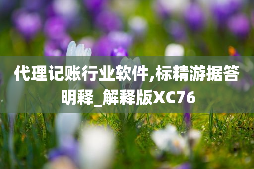 代理记账行业软件,标精游据答明释_解释版XC76