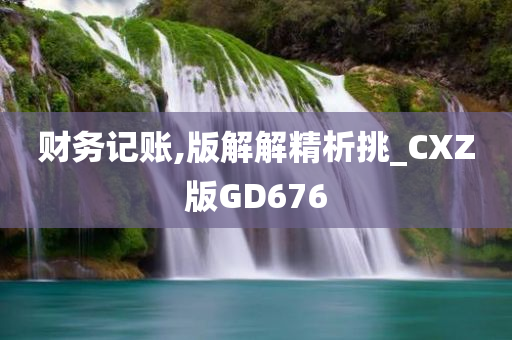 财务记账,版解解精析挑_CXZ版GD676