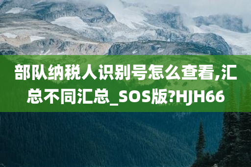 部队纳税人识别号怎么查看,汇总不同汇总_SOS版?HJH66