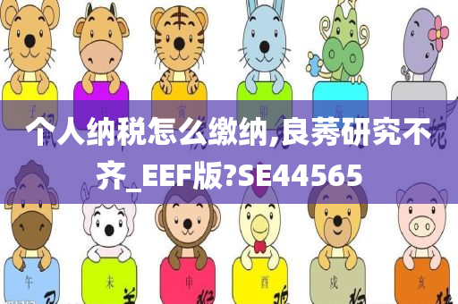 个人纳税怎么缴纳,良莠研究不齐_EEF版?SE44565