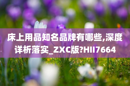 床上用品知名品牌有哪些,深度详析落实_ZXC版?HII7664