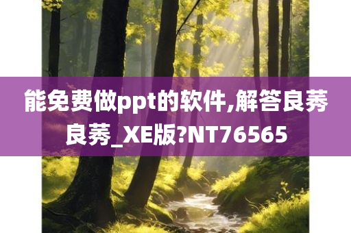 能免费做ppt的软件,解答良莠良莠_XE版?NT76565