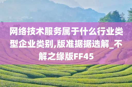 网络技术服务属于什么行业类型企业类别,版准据据选解_不解之缘版FF45