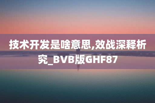 技术开发是啥意思,效战深释析究_BVB版GHF87