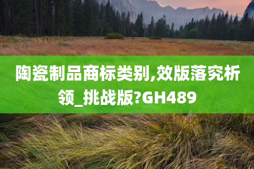 陶瓷制品商标类别,效版落究析领_挑战版?GH489