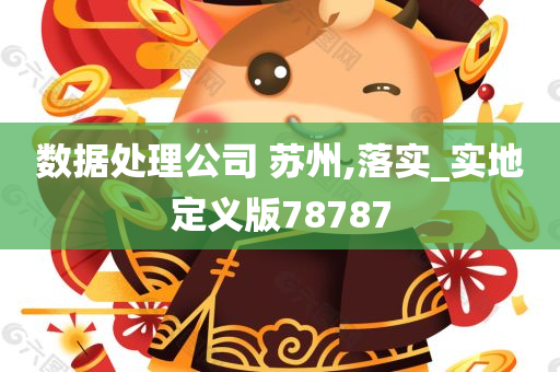 数据处理公司 苏州,落实_实地定义版78787