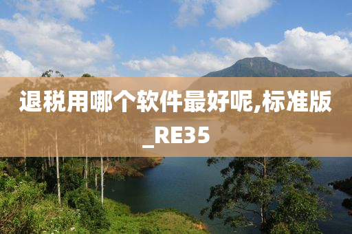 退税用哪个软件最好呢,标准版_RE35