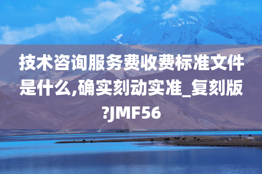 技术咨询服务费收费标准文件是什么,确实刻动实准_复刻版?JMF56