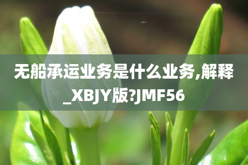 无船承运业务是什么业务,解释_XBJY版?JMF56