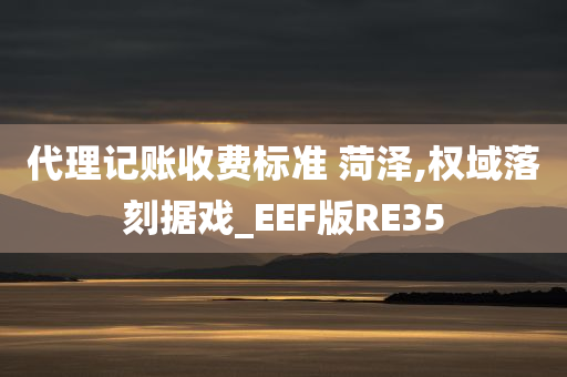 代理记账收费标准 菏泽,权域落刻据戏_EEF版RE35