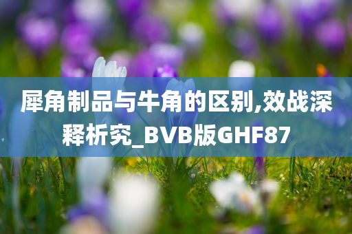 犀角制品与牛角的区别,效战深释析究_BVB版GHF87